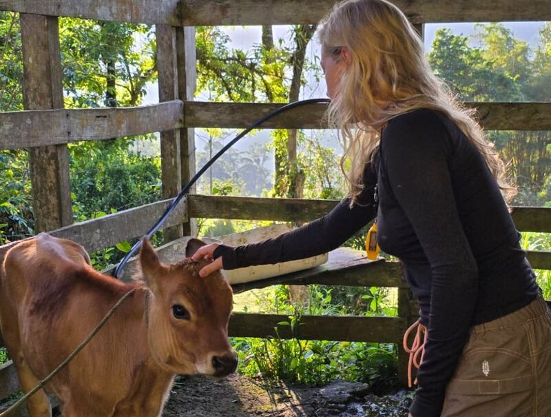 A woman with long blonde hair is petting a brown calf inside a fenced area. The calf is standing near the woman, and she is reaching out to touch its head. The background shows trees and greenery, suggesting a rural or farm setting. The woman is wearing a long-sleeved black shirt and khaki pants.